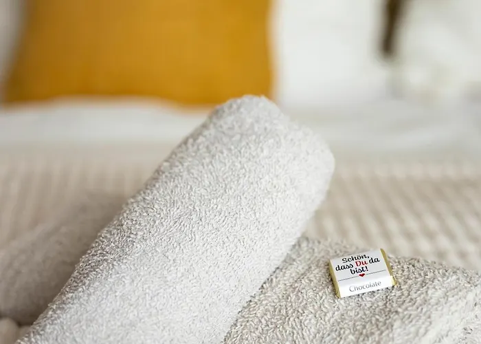 Appartement Maisonette Rustic Altstadt Zentral-wlan-parkplatz Erfurt